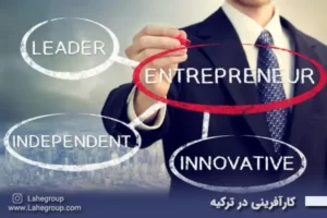 کارآفرینی در ترکیه