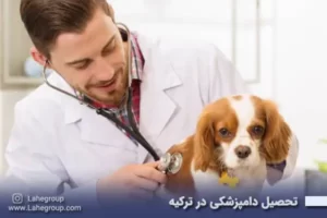 تحصیل در رشته دامپزشکی در ترکیه