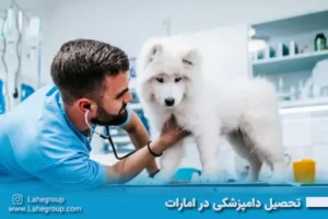 تحصیل دامپزشکی در امارات