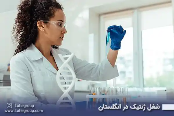 شغل ژنتیک در انگلستان